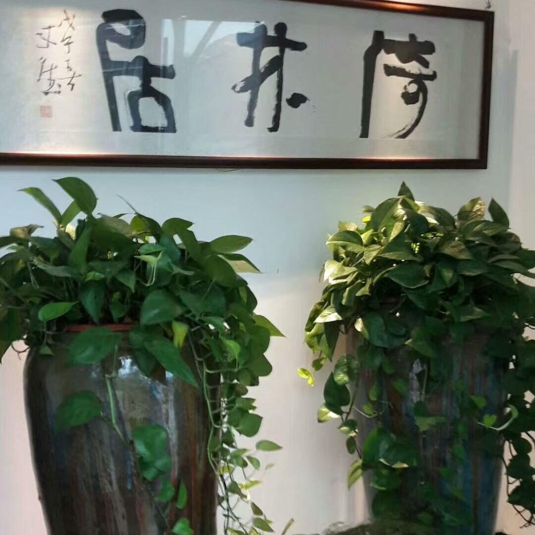 倚林居书画