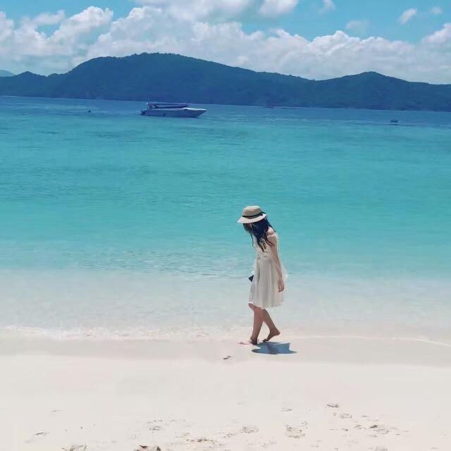 曾曾家的@萌宠购物车