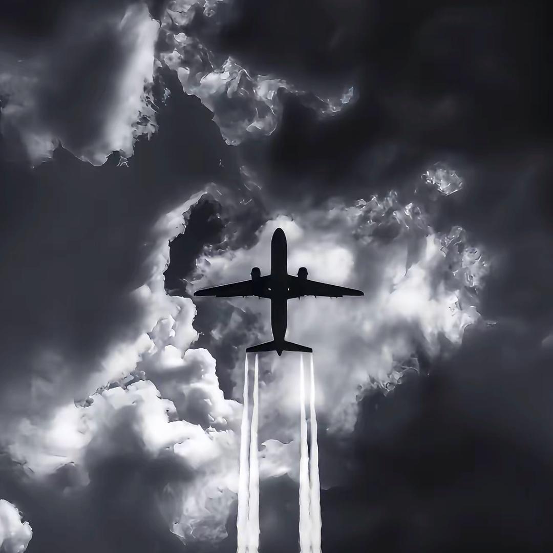 🎉理想生活🎉