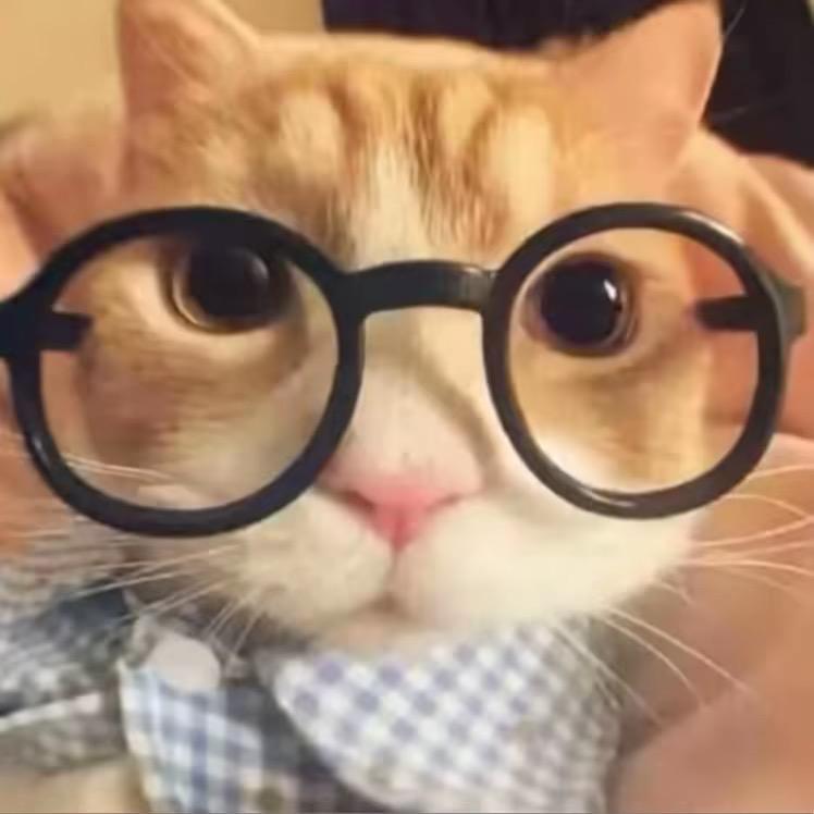 宇宙最最最帅的小学生