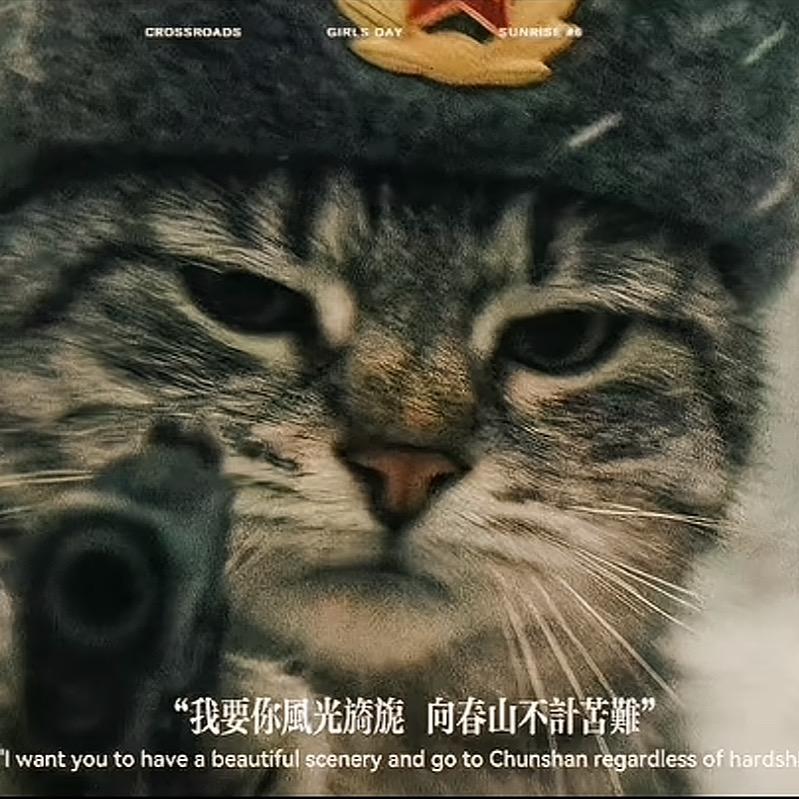 飞狐🦊