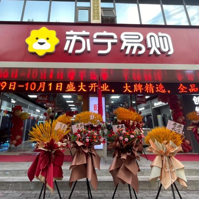 苏宁易购（秦安解放路店）