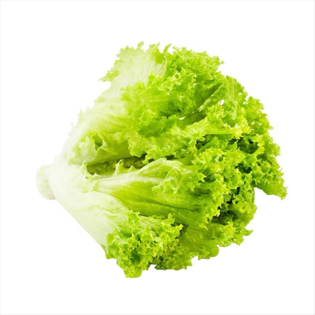 婧.