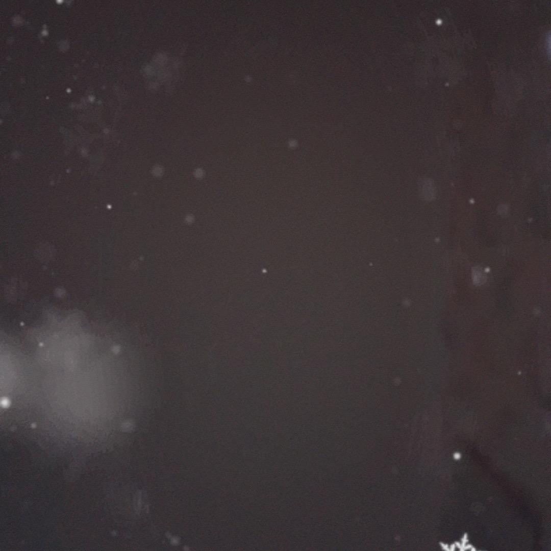 এ᭄ꦿ꯭ꫛ疯狂的狼