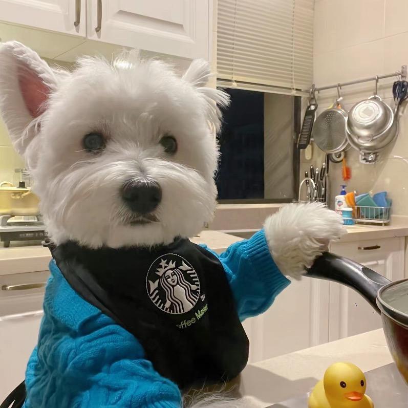 无敌暴龙战士吸^