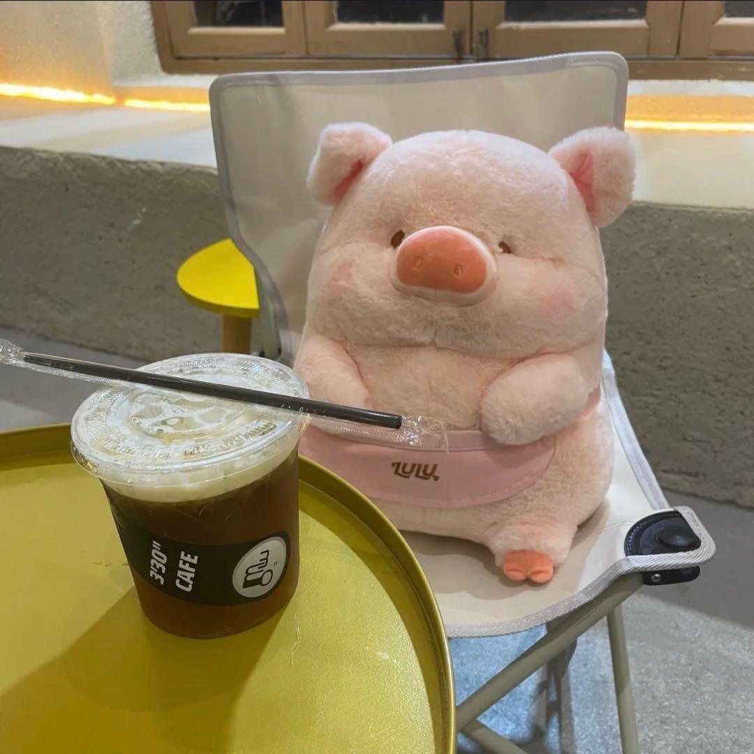 橙 子.