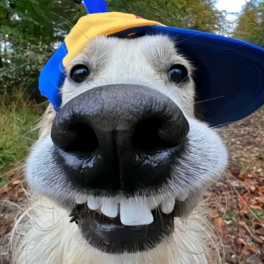 爱听反方向的钟