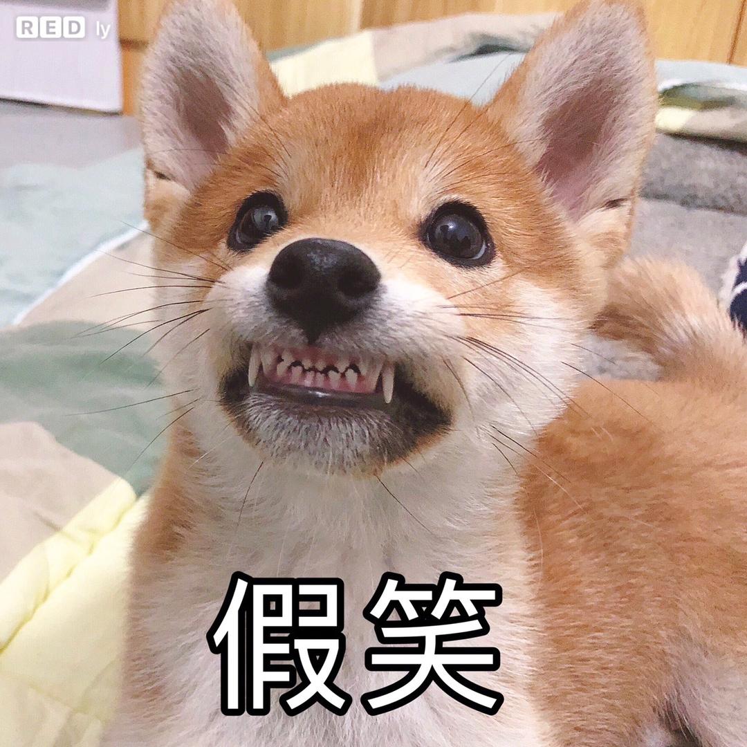 脑洞探索
