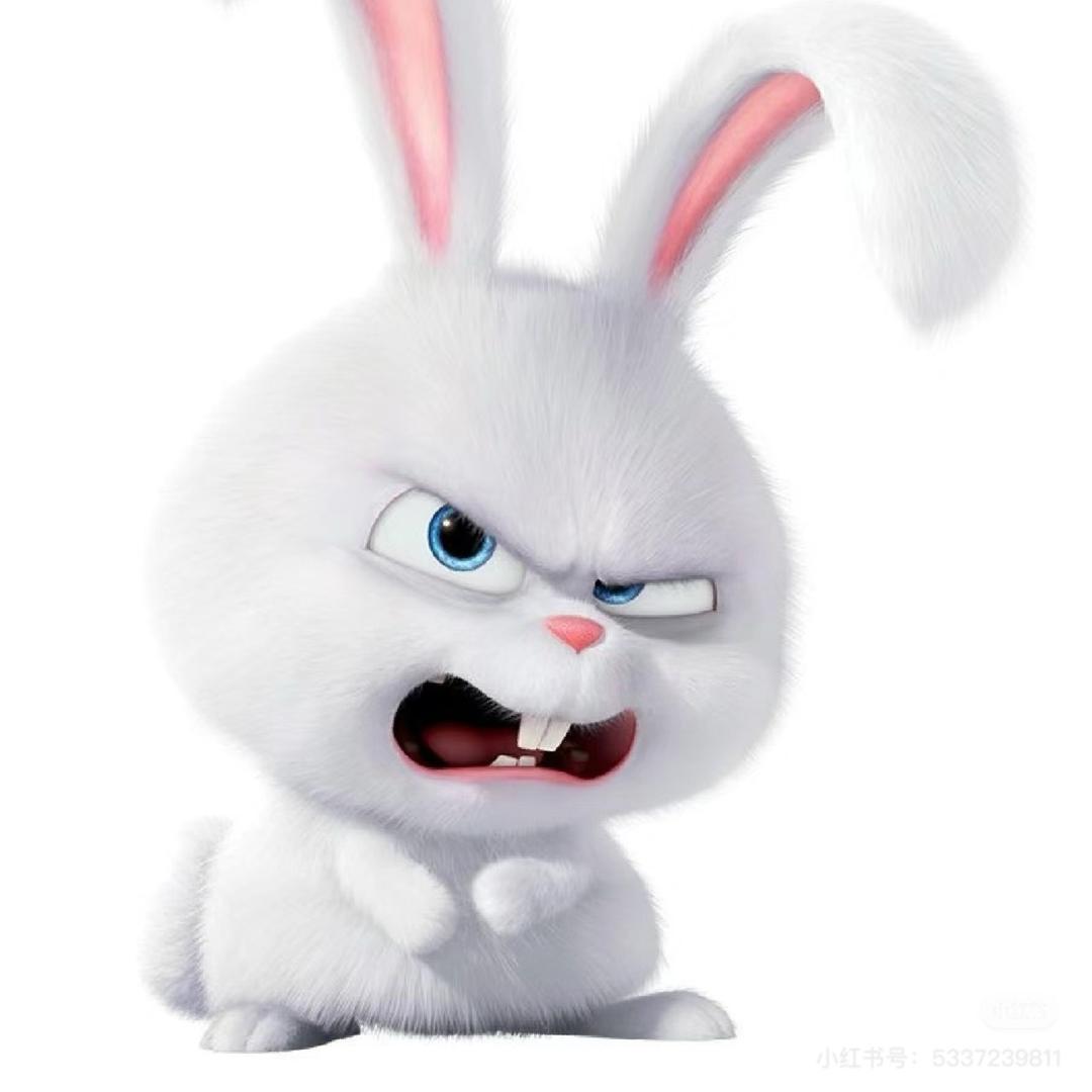 一口一个麻辣兔头