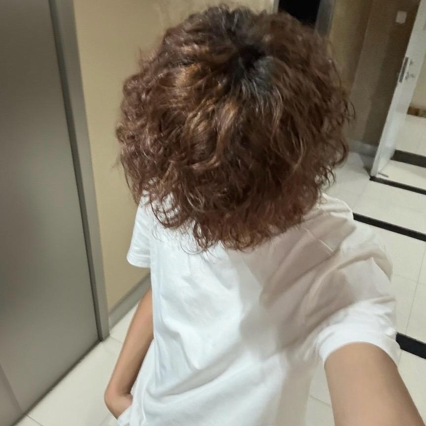 石家森
