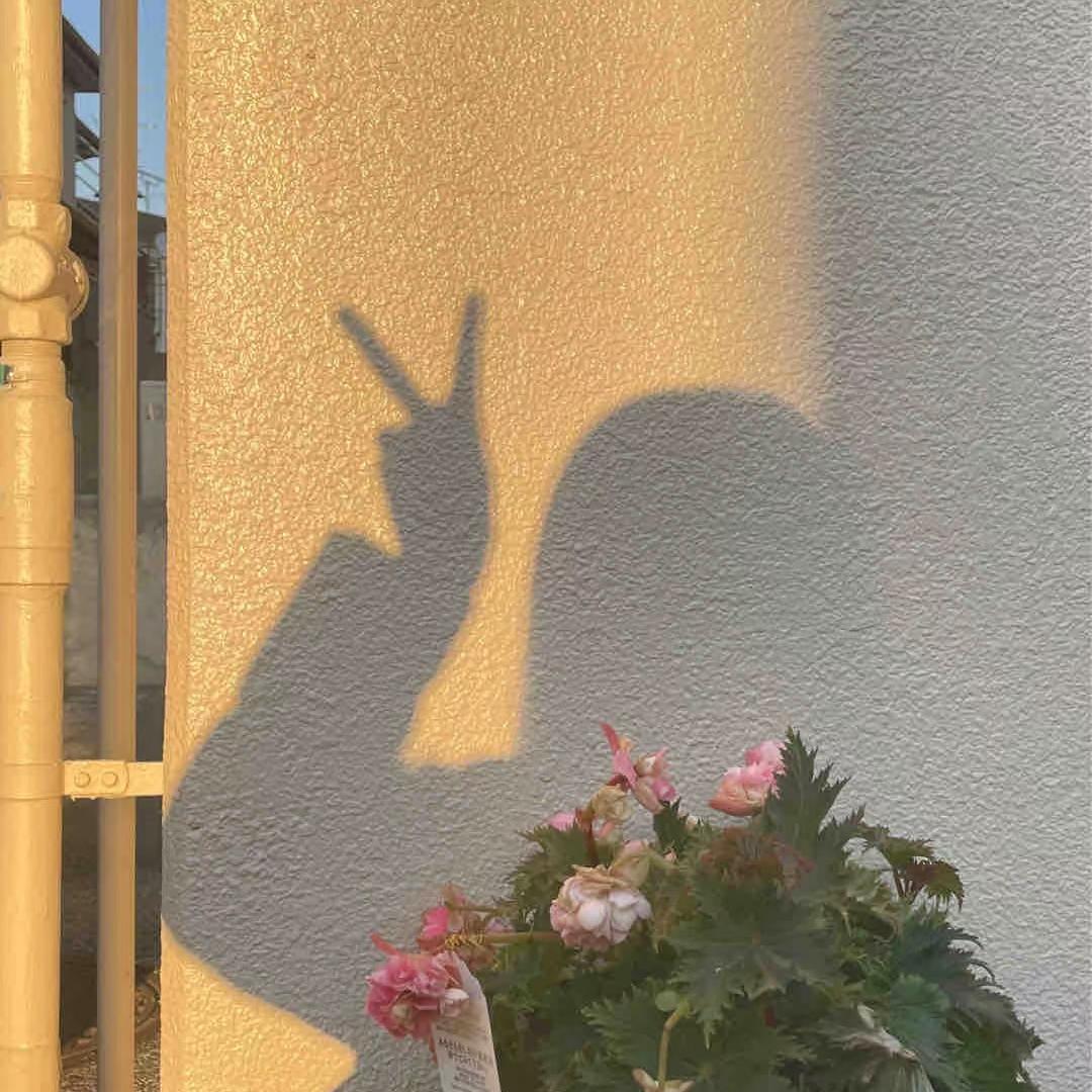 🐑亿昂楊
