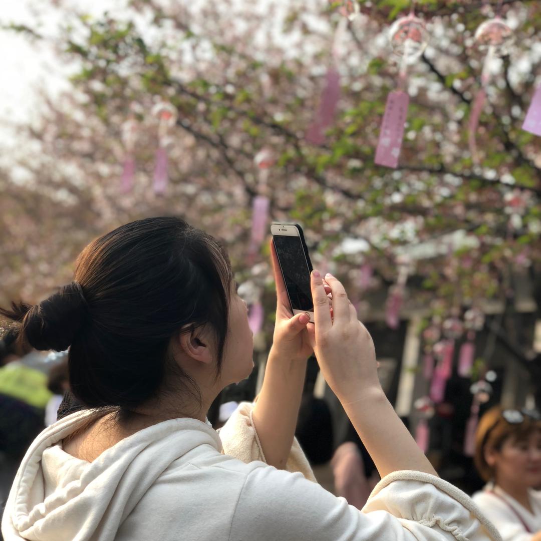 圆圆的园园