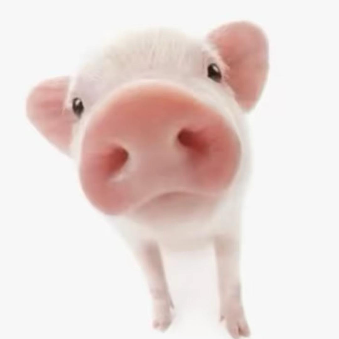 权志龙圈外女友