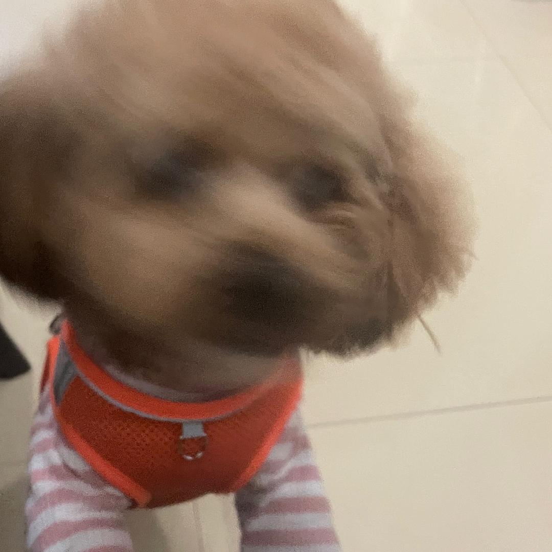 安心菜场B14~鱼师傅（不是真卖鱼老板）