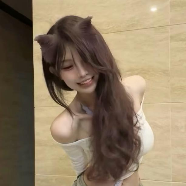 失眠小狗