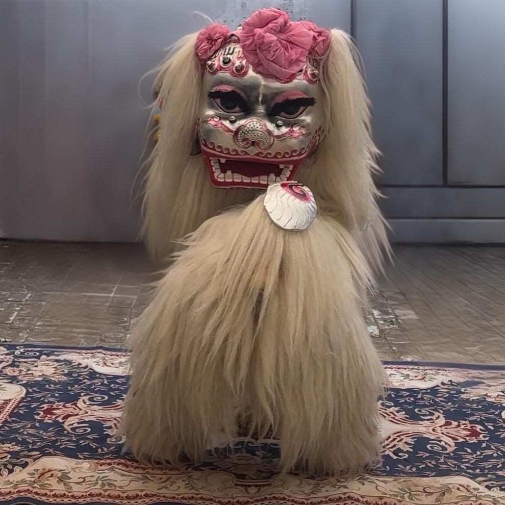 濮阳精彩小白狮表演团(全国巡演）