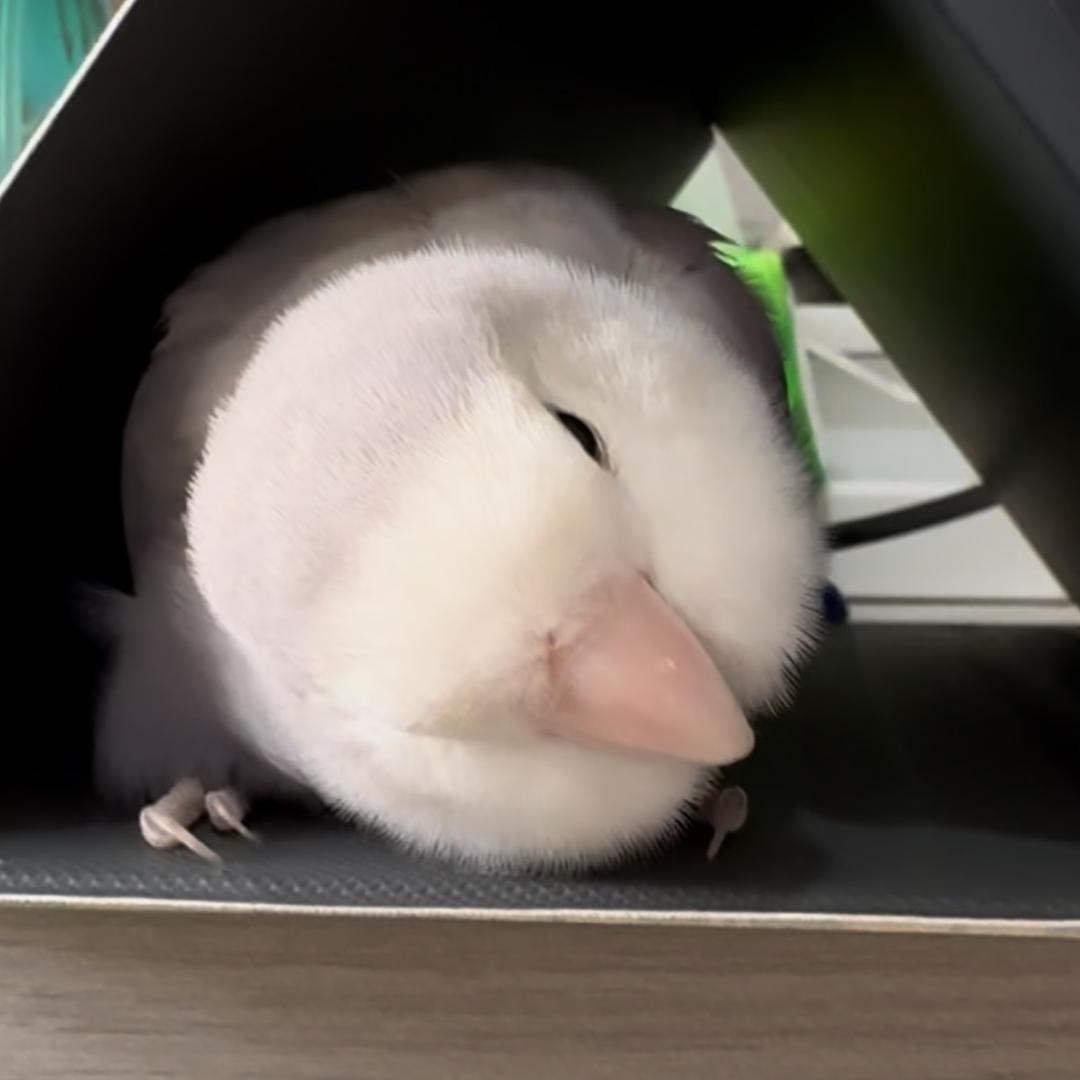 万事胜意