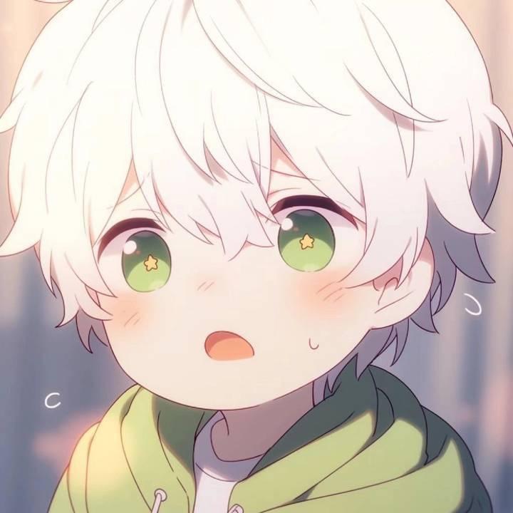 天天看电视