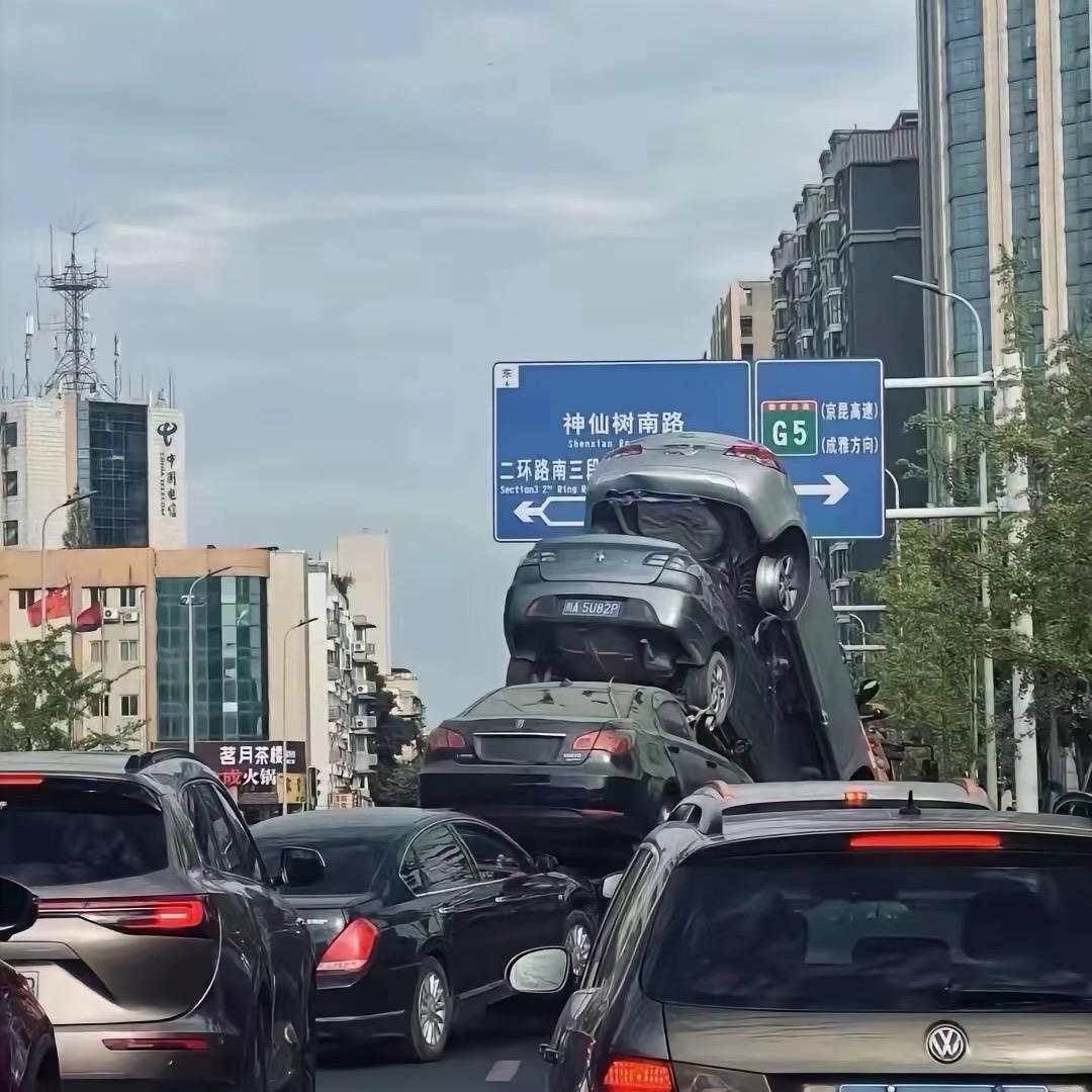 秋刀鱼✍🏿