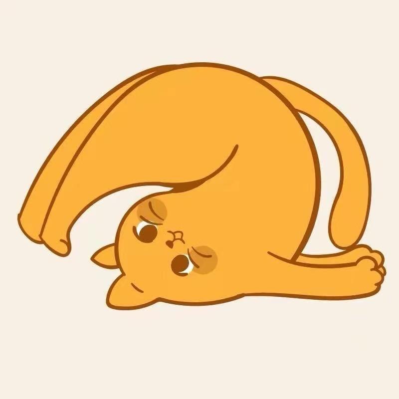 大熊首播9