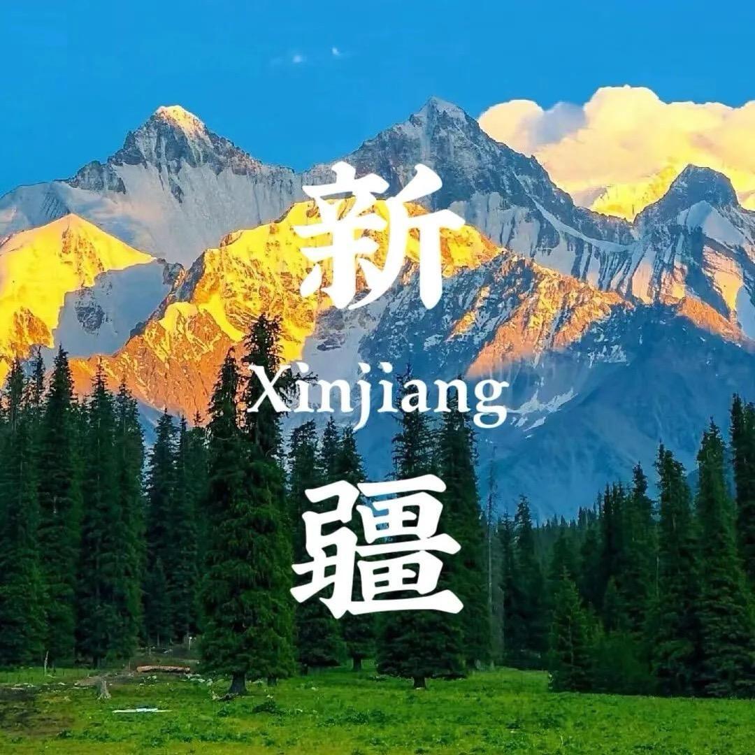 大琪在新疆定居了