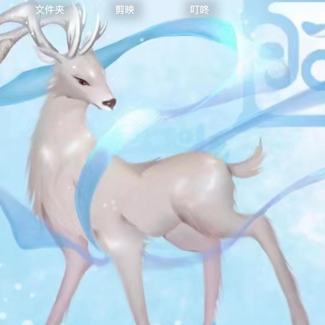 净心