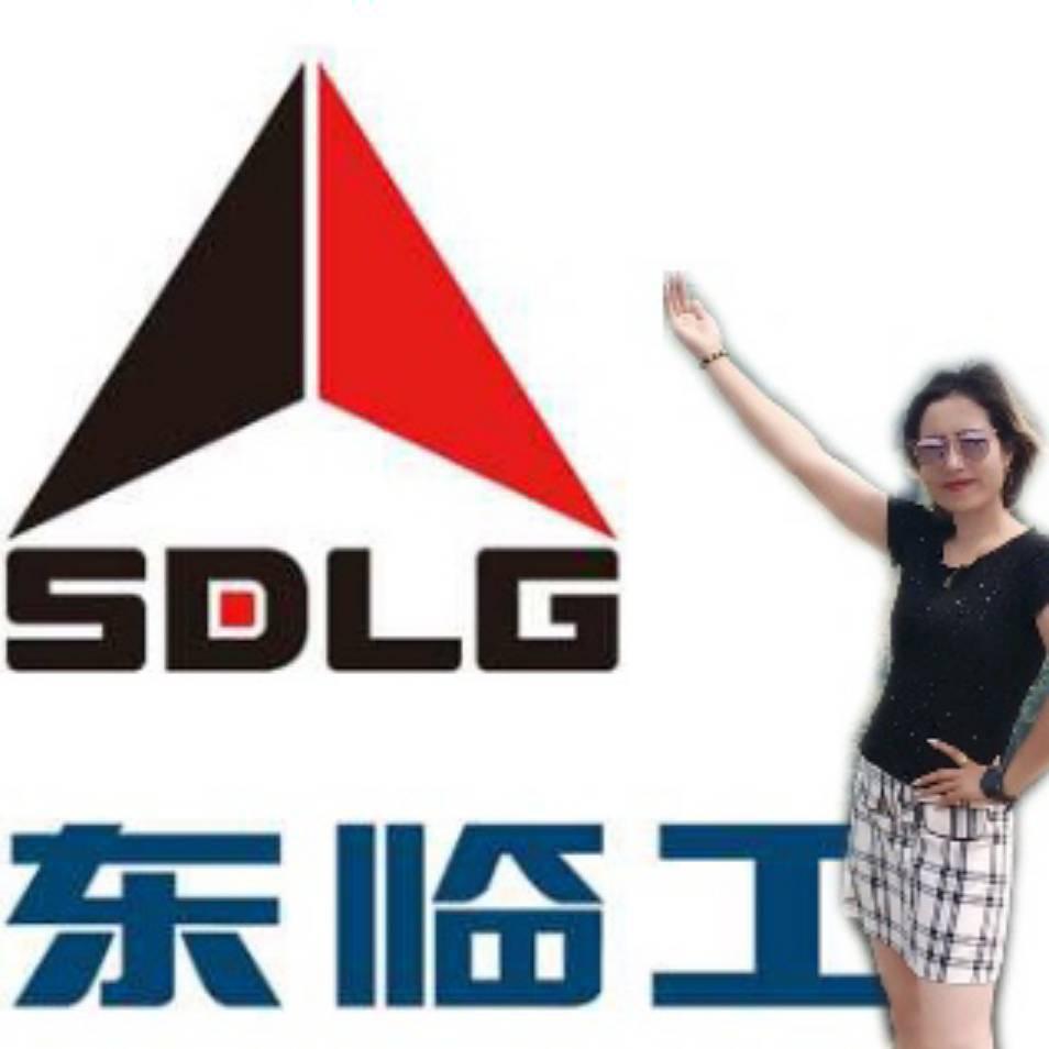 山东临工销售冠军
