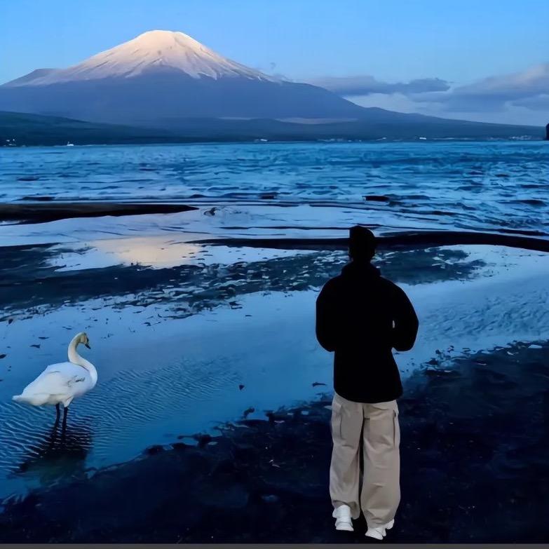 简淳