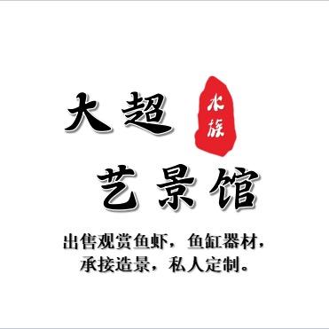 大超水族艺景馆