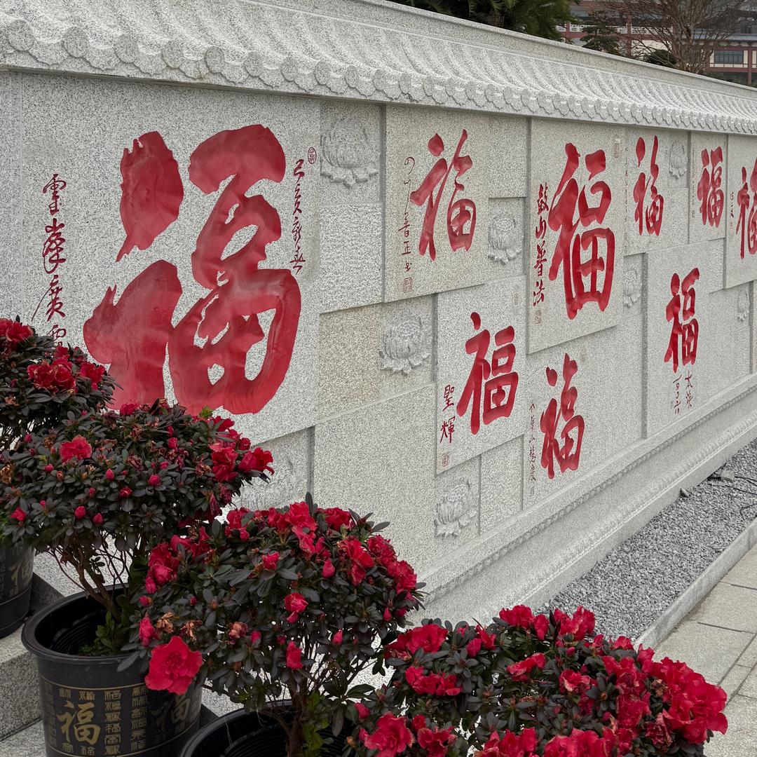 仙女不讲李Ly