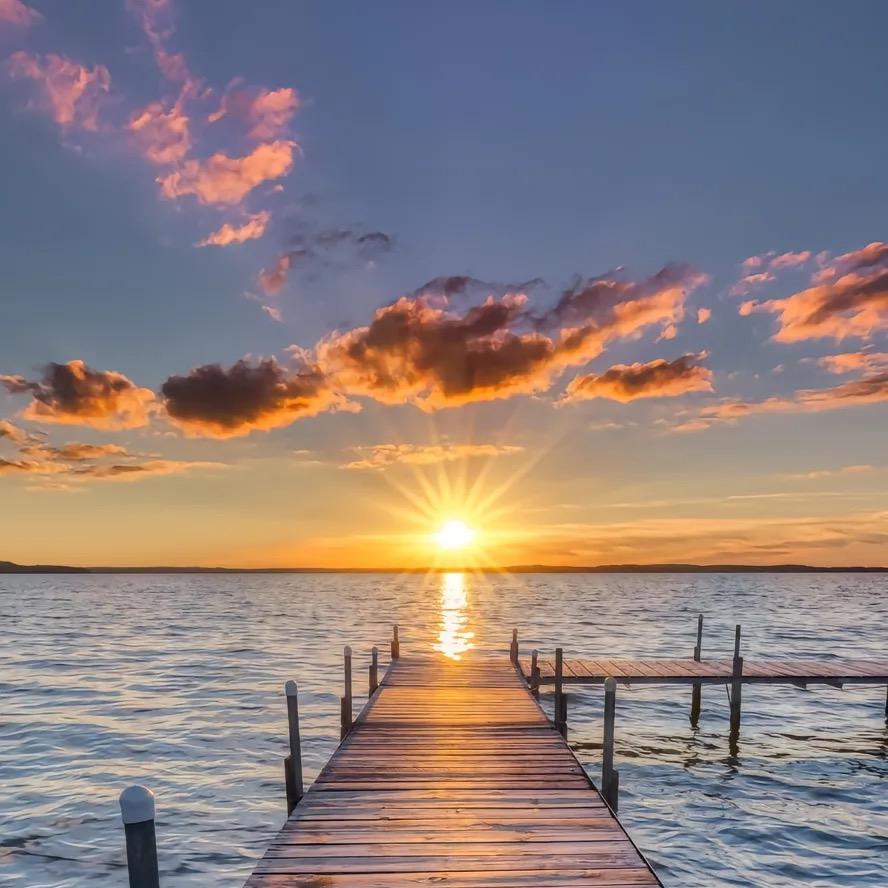 用户532新歌上线819