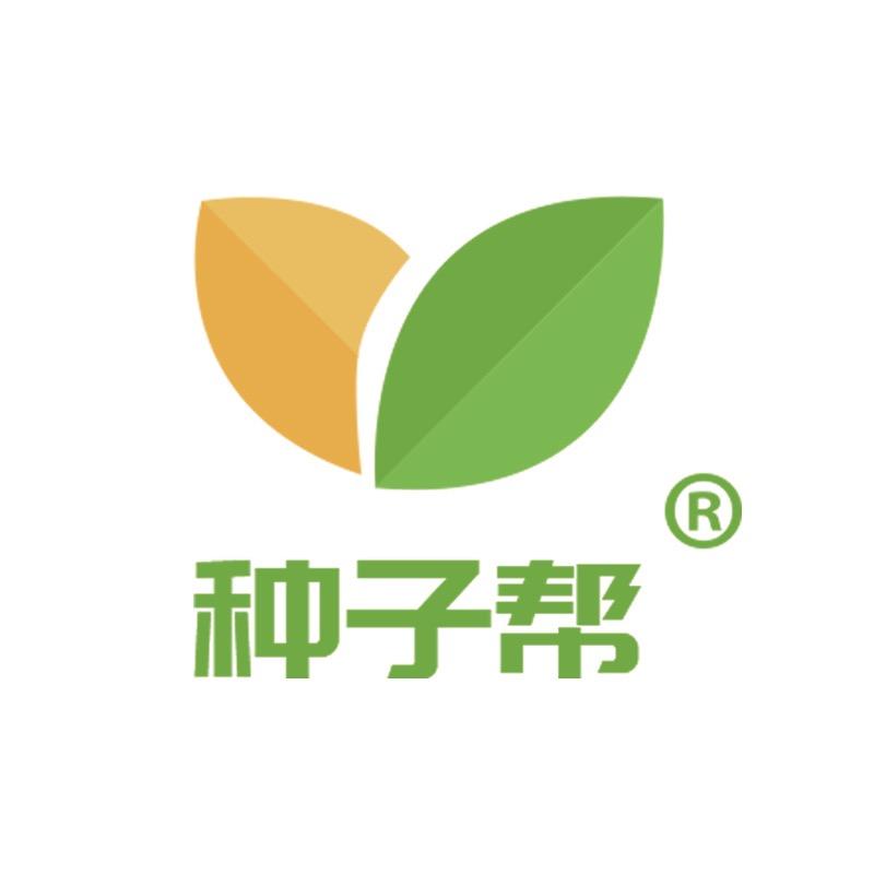 种子帮牧草种子