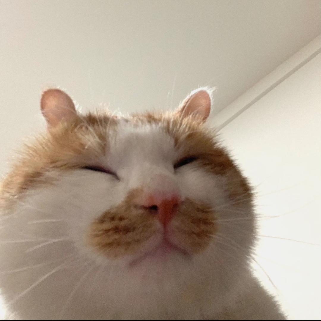 小怡.