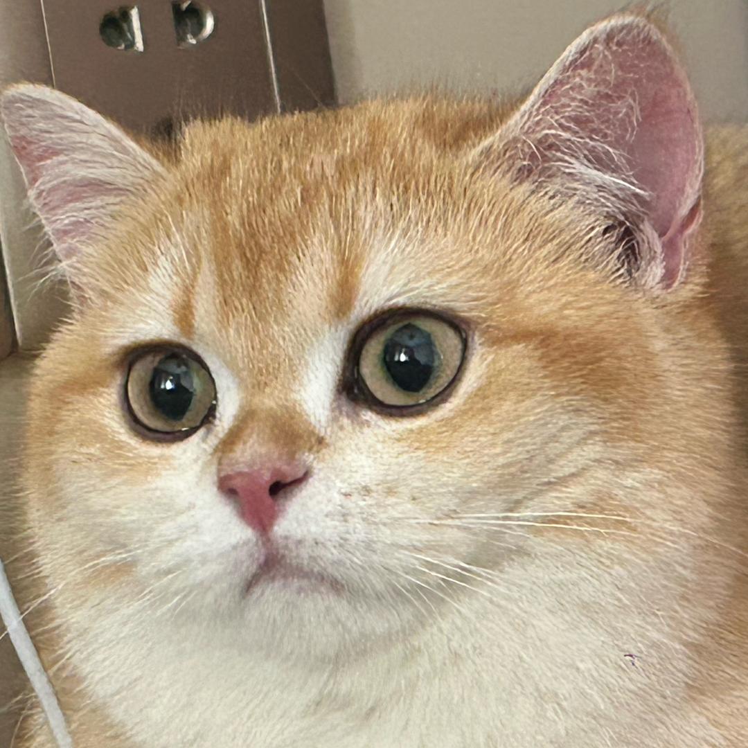 35