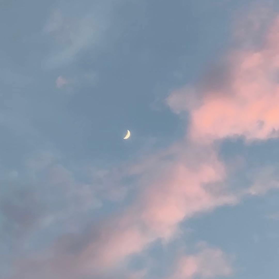 阿李