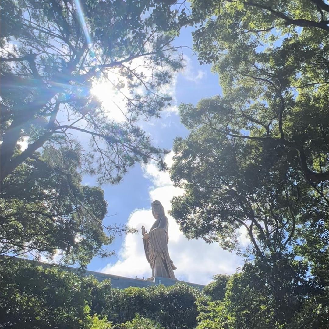 原来你只是心动