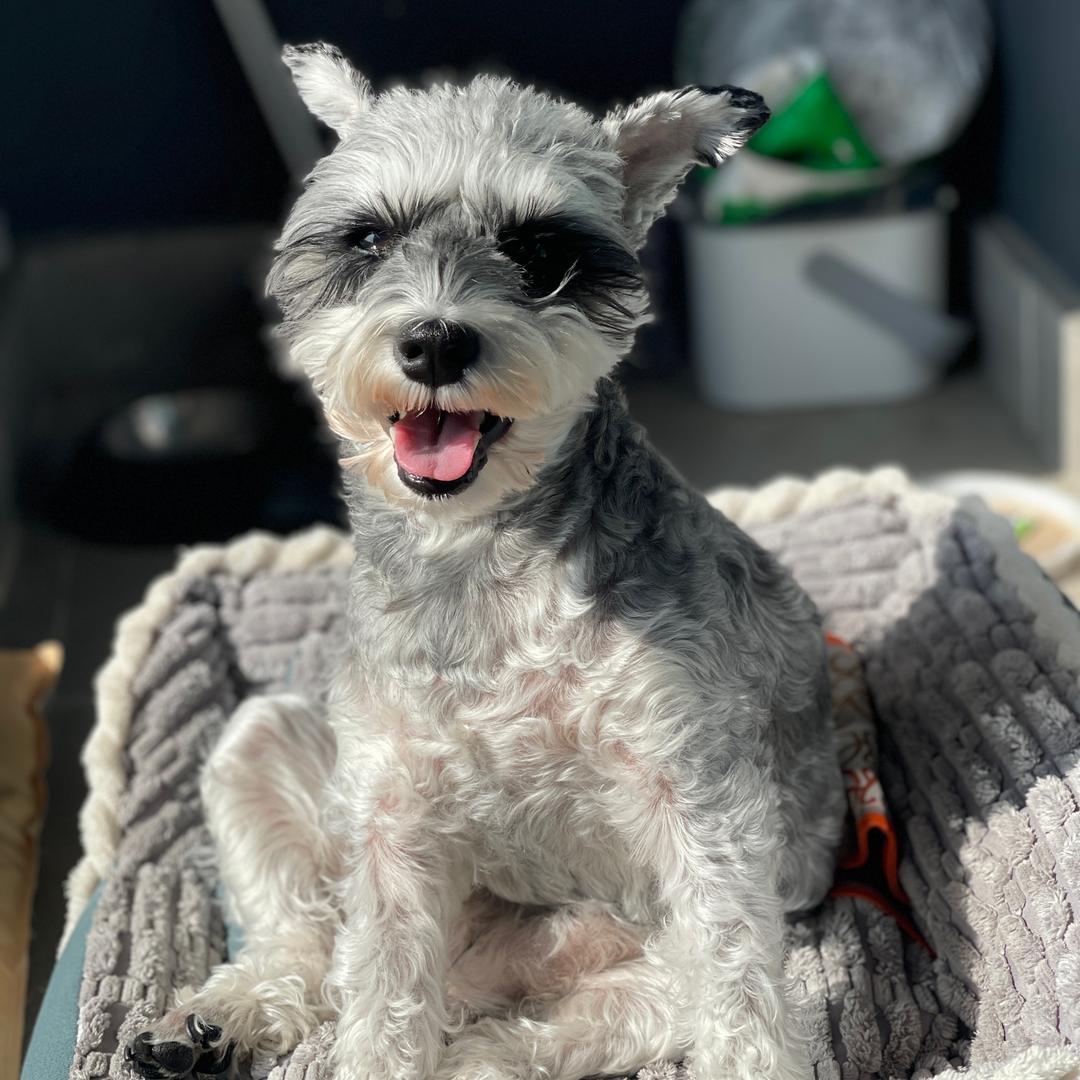 妞妞小可爱❤️