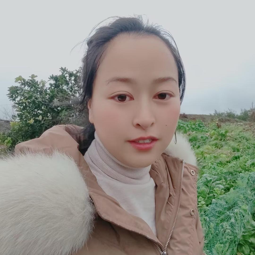 小黄～艾草种植