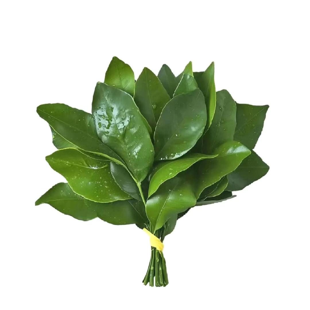 蜡笔不太小心