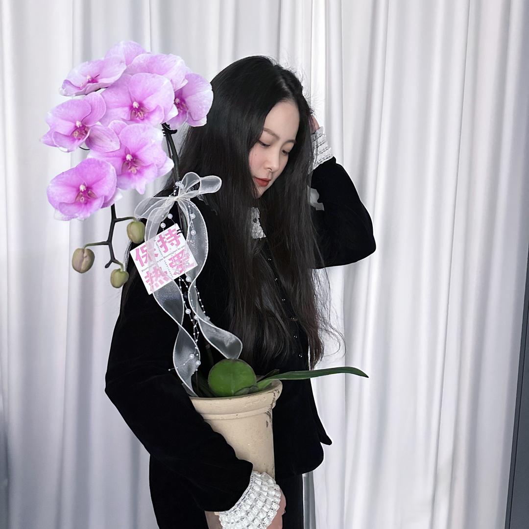 🍒车厘子🍒