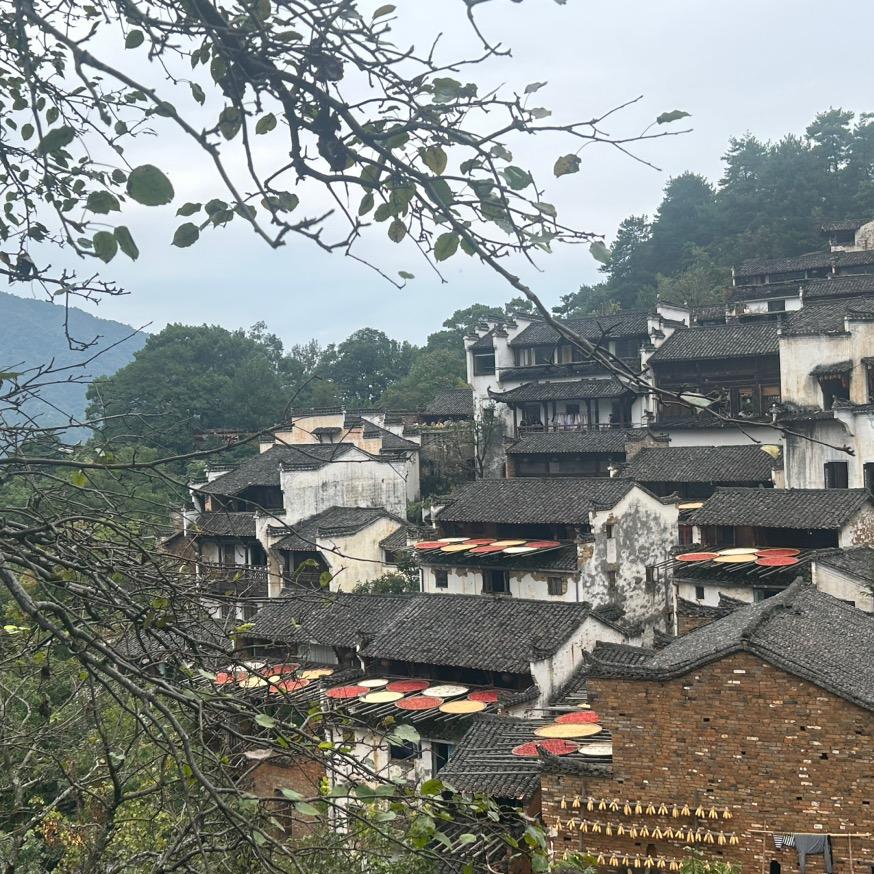 可可爱爱🤪