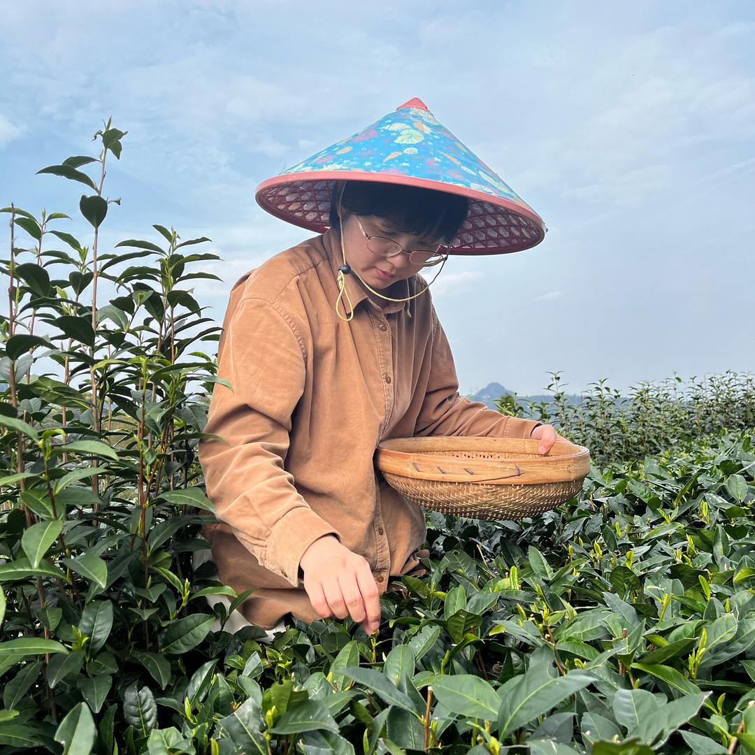 小年的茶生活