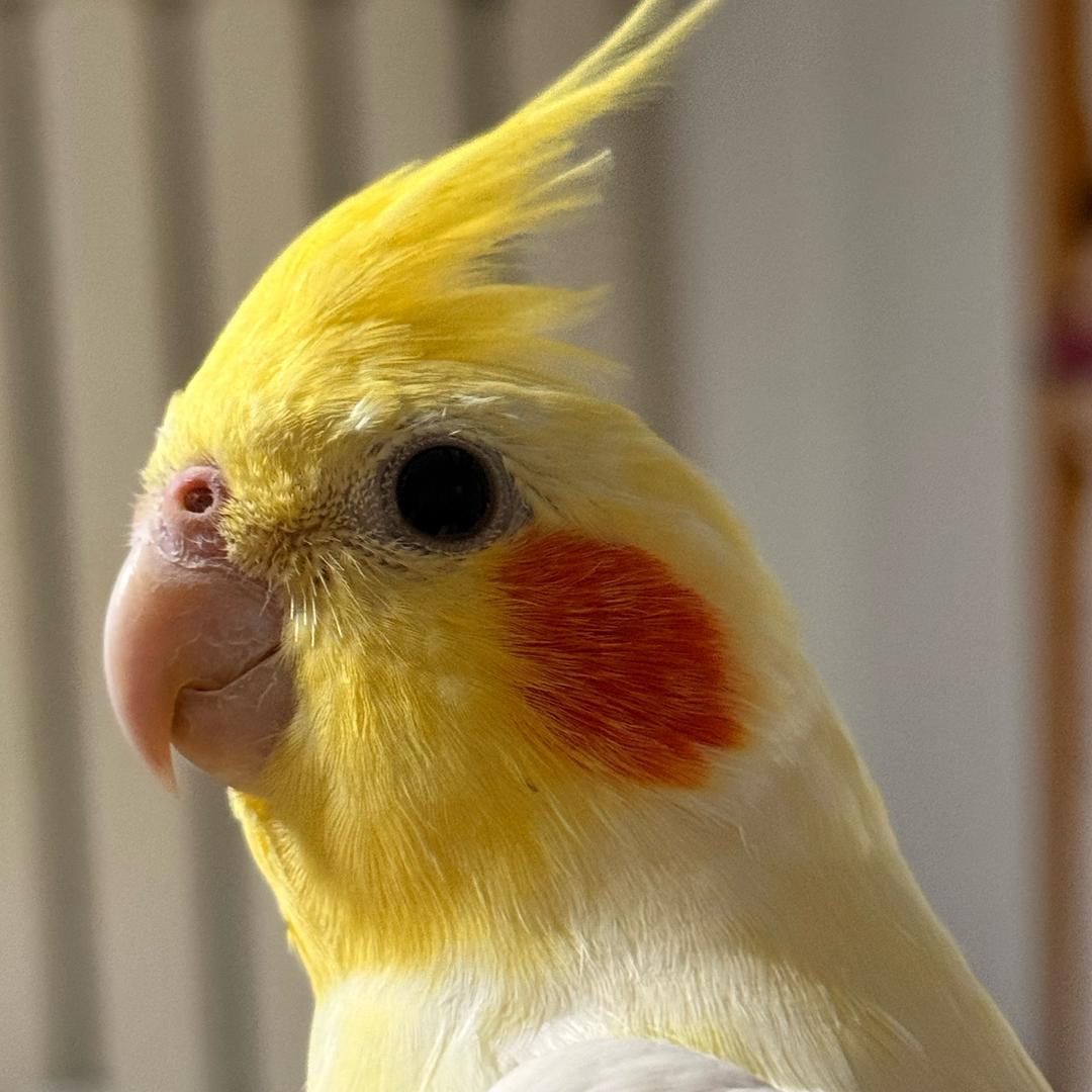 淼淼淼