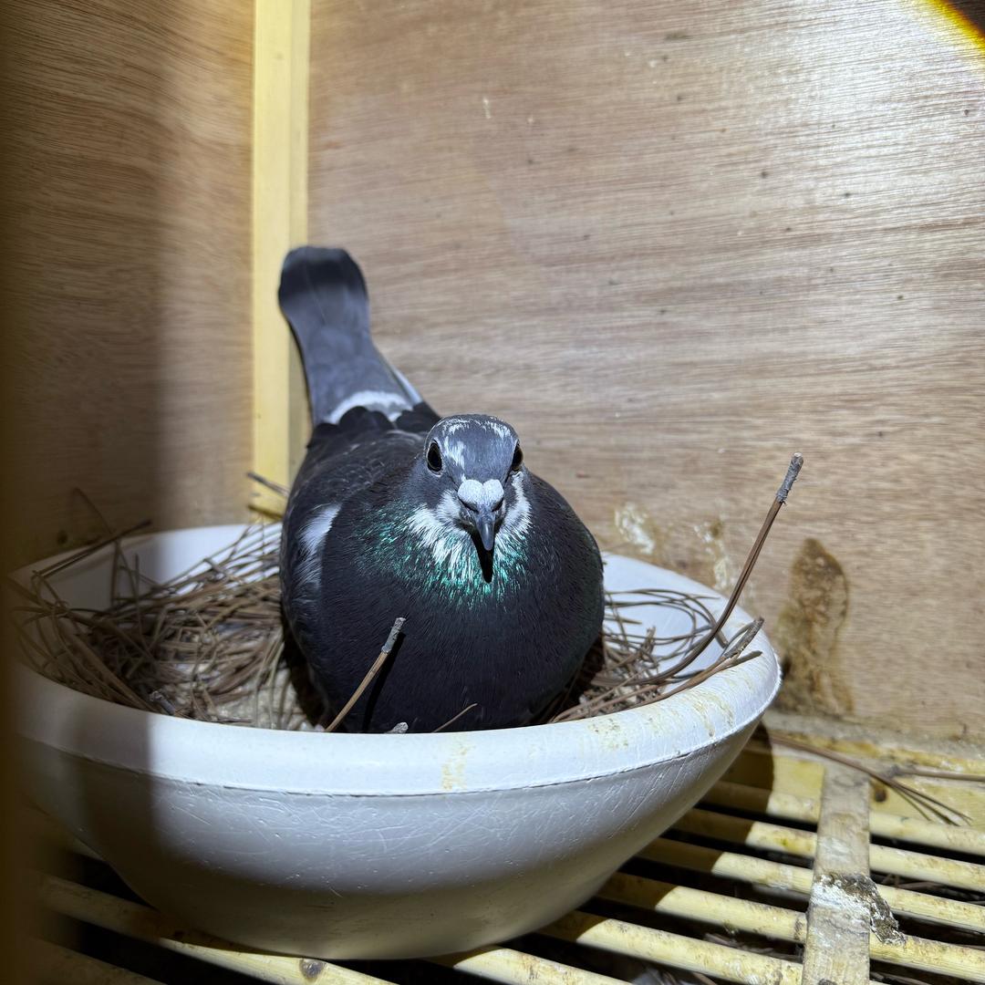 星星点点耀长空