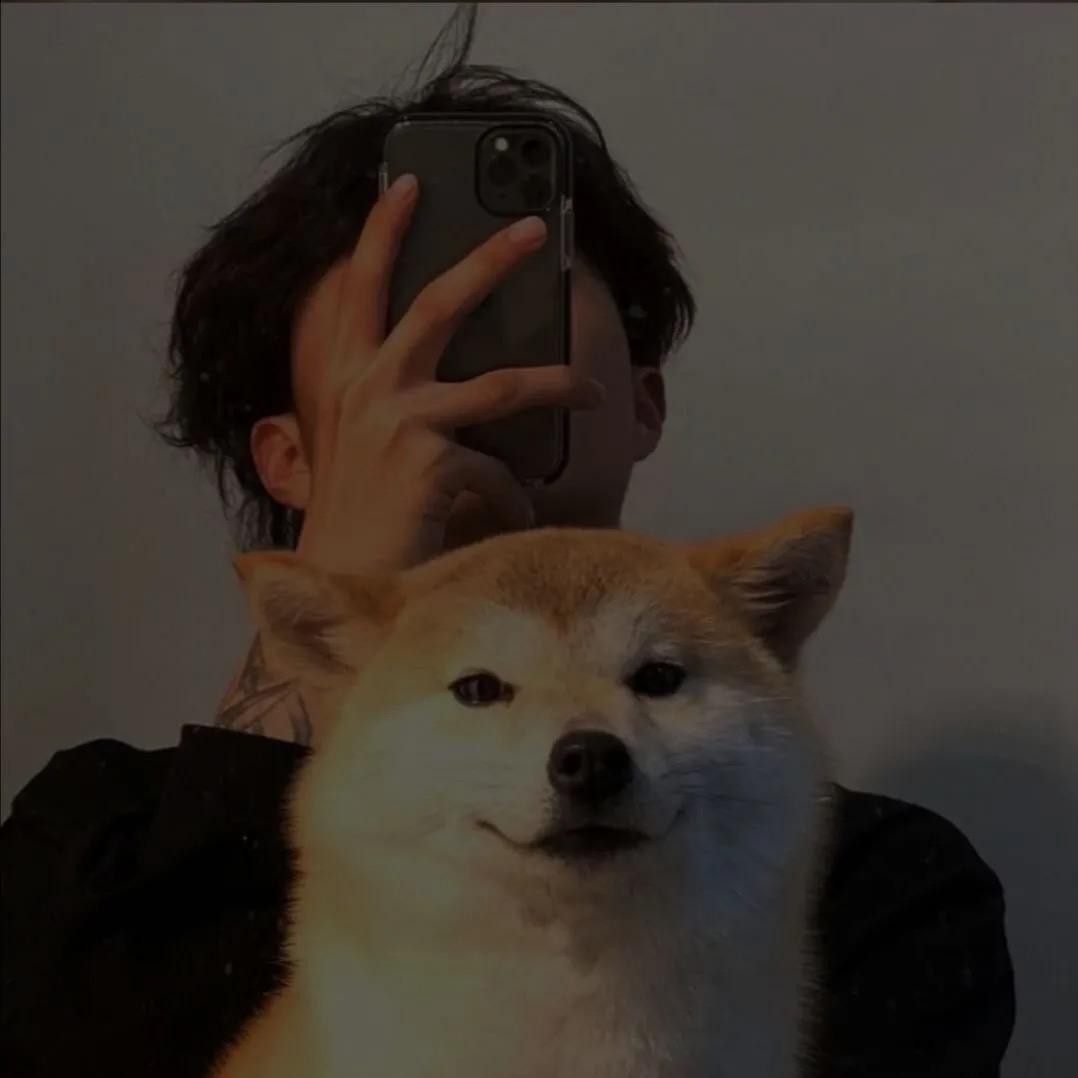 二拾陆