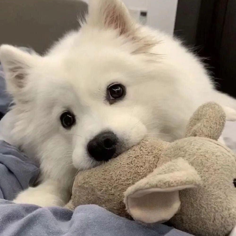 林桂营（7.12鸟巢见过jj版）