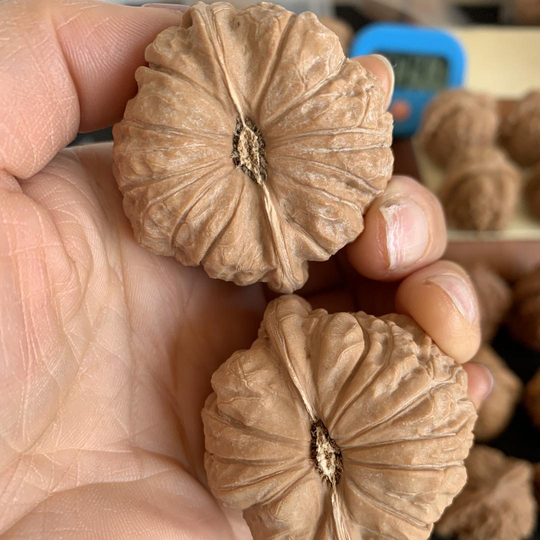 小精灵核桃