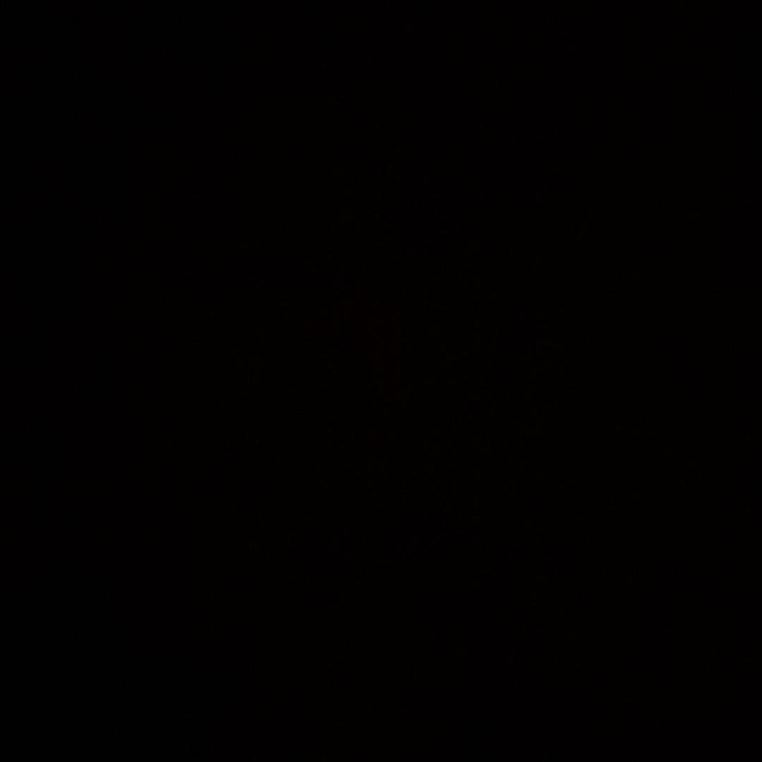 华      少