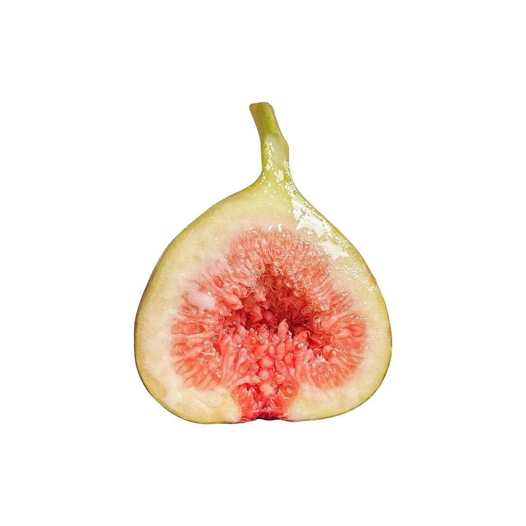 yy