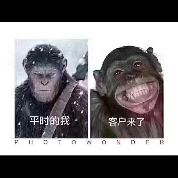 开门红